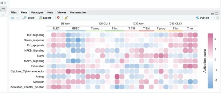 Nature同款热图绘制｜多层嵌套<em>注释</em>的<em>代码</em>实现