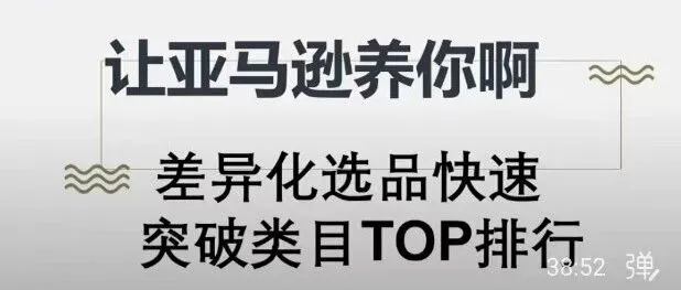 直播精华文字版：让亚马逊养你啊！发掘可以快速进入类目top的选品！