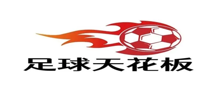 欧罗巴，<em>斯</em>图<em>加</em><em>特</em>vs费内巴切！