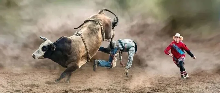 2026年1月23日-2月1日【澳洲】吴庭峰老师指导 <em>澳大利</em>亚悉尼国庆庆典、建筑人文10<em>天</em>摄影之旅