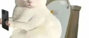 热门抖音<em>英文</em><em>昵称</em>精选，吸引粉丝的创意<em>昵称</em>大全