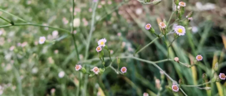 人工<em>智能：数字化转型</em>中软件架构与业务模式的共生演进