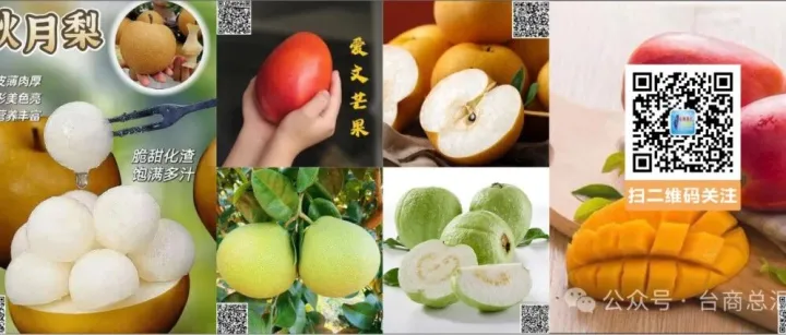 台湾<em>花莲</em>文旦柚 妈祖保柚 又来了 台湾零食与高档新鲜水果...