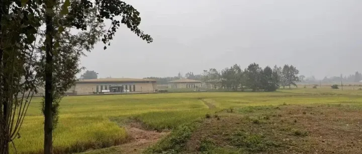 中国<em>ERP</em>行业重生 ｜ AI洗澡<em>ERP</em>和AI原生<em>ERP</em>