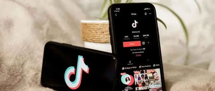 拒绝无效投放！TikTok达人避坑指南，让合作ROI翻倍