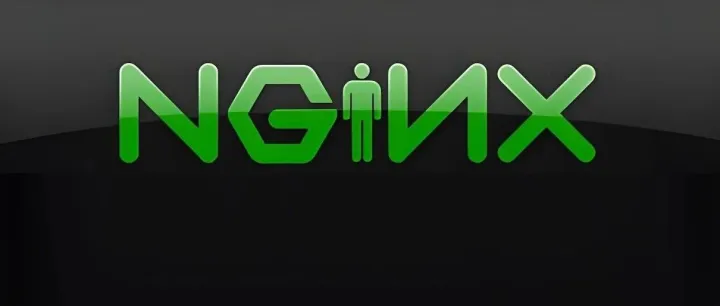 Nginx<em>高</em><em>可用</em>负载均衡：从单点到99.99%<em>可用</em>性的零停机架构实战