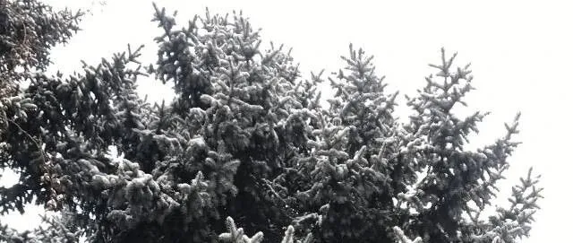 活在自己的世界里      Living in <em>Your</em> <em>Own</em> World