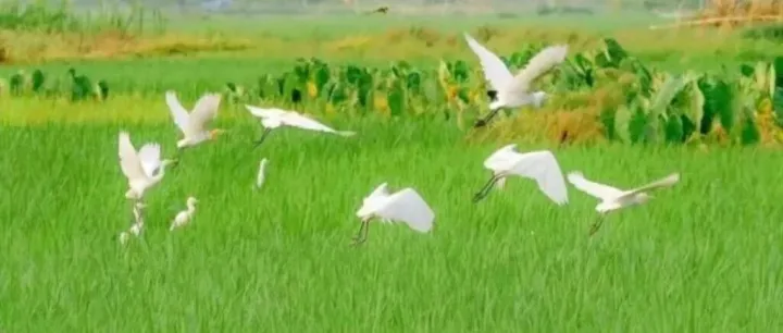 <em>推</em>po｜钟意她by 周老板<em>娘</em>的写肉号