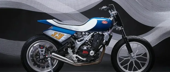 <em>TRACKER</em>风格恩菲尔德450