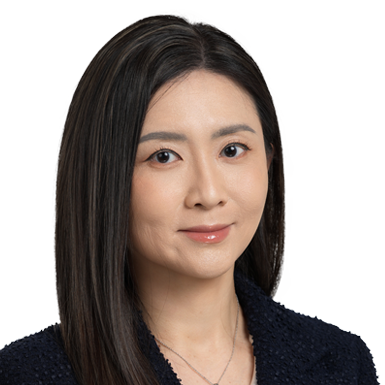 BVI公司公开信息指南:股东名册与董事名册的披露规则- 大数跨境