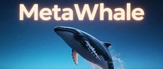 Meta <em>Whale</em>是什么？