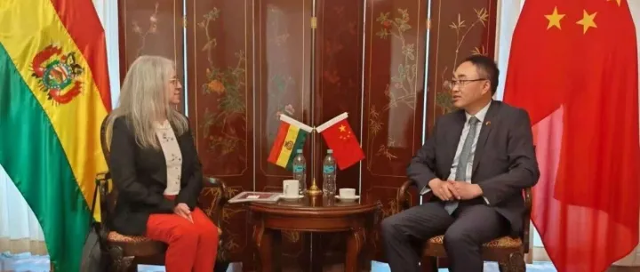 驻玻利维亚大使王亮会见联合国妇女署驻玻代表