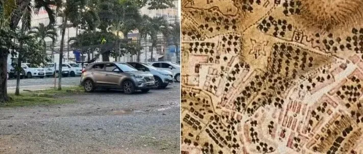 巴西发现“十万人坑” 或为拉美最大非裔奴隶墓地