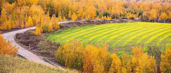 【四上课内】二单元“我的家人”<em>笔名</em><em>作家</em>优品