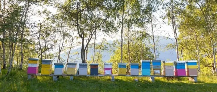 分享软件：谷歌浏览器Google Chrome v141.0.7390.108 便携增强版