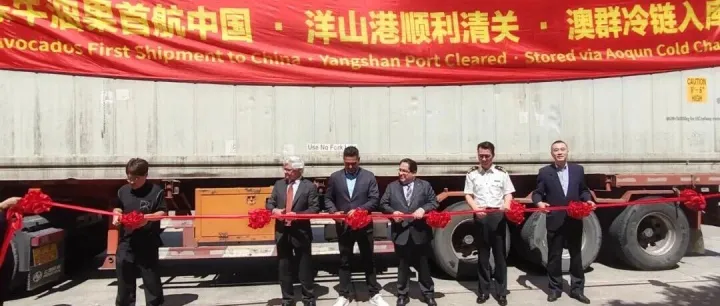 Llegada del primer cargamento de palta congelada a la RP China
