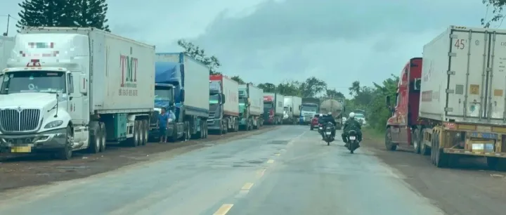 出蛾子！越南近2000集装箱榴莲积压