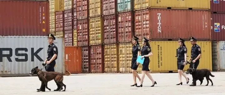 <em>越南</em>打掉跨境走私犯罪团伙，涉案金额逾238亿盾