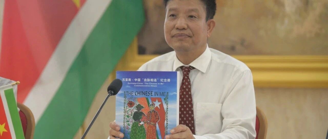 刘全大使出席侨界线上欢送会- 大数跨境