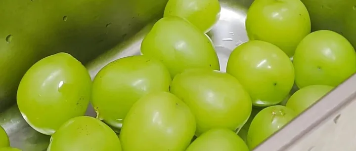 On My <em>Way</em> Back Home