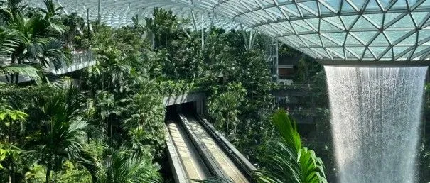 | <em>Singapore</em> <em>Company</em> Setup Guide