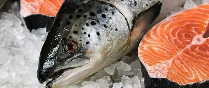 俄罗斯确认对智利海洋产品的进口