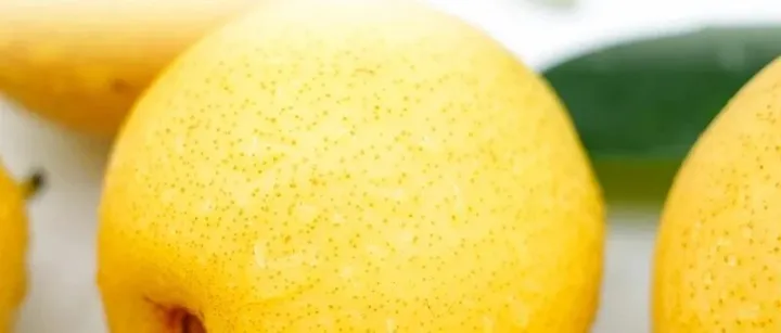 澄州呈礼 新鲜东北南果<em>梨</em> 京东冷链直达 <em>汁</em>多味甜果香浓