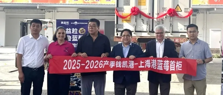 Llega primer lote de arándanos peruanos despachado desde Chancay