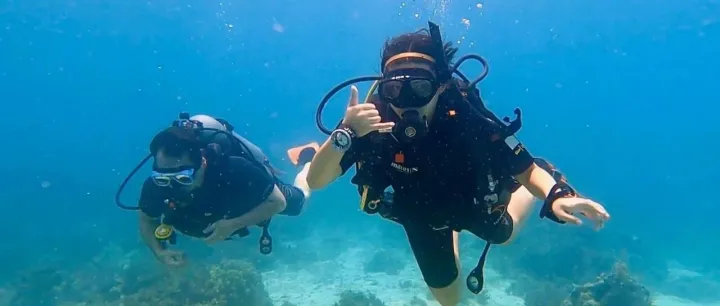 解锁薄荷岛的深海奥秘：2025PADI潜水节