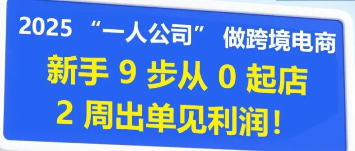 一个人怎么开始干跨境电商？一份详细的全流程入门指南！