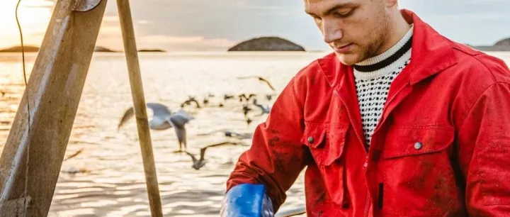 挪威新鲜<em>鳕鱼</em><em>价格</em>涨至83克朗每公斤，渔民感慨“自己也舍不得吃”