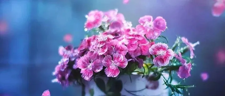 告别“等<em>客</em>上门” | 心理<em>咨询</em>师的知乎精准<em>获</em><em>客</em>指南