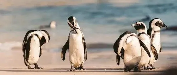 做外贸如何让老客户“起死回生”