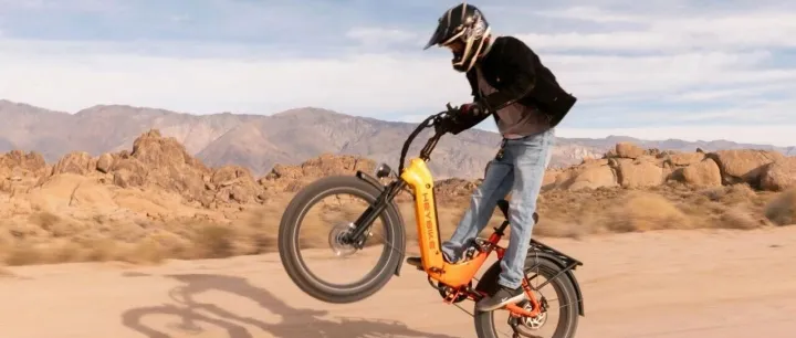 海外营收破亿，用户超20万！它从代工转型，做成北美E-bike黑马 | 大数专访