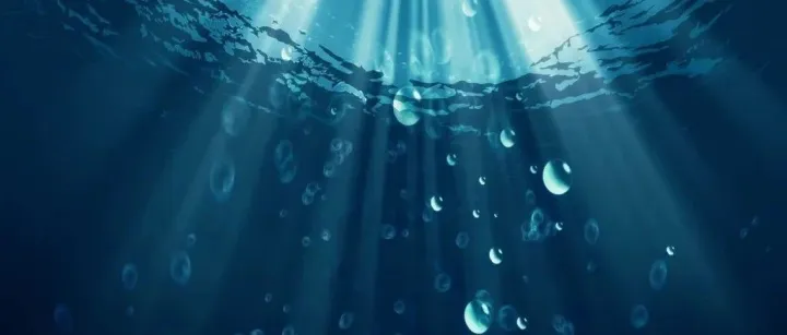 秦东魁每日一语| 中、英、韩、俄、日、泰语学习