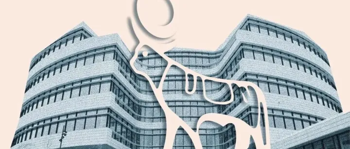 诺和诺德“宫斗剧”：当巨头失去优雅