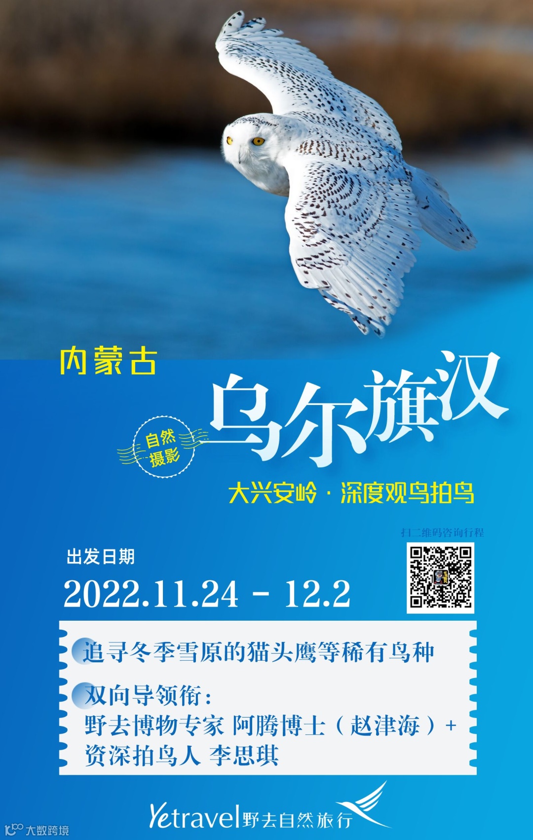 这些年撸过的那些“猫”》- 大数跨境, image size:1080x1701