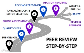 Overview of the Peer Review Process
