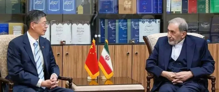 驻伊朗大使丛培武会见伊朗最高领袖外事顾问韦拉亚提
