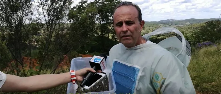 来自巴西的健康馈赠｜高品质绿蜂胶<em>APIS</em> FAMILIA好价来袭！