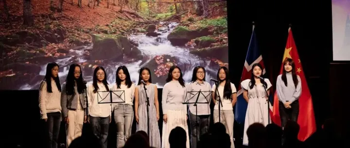 Chinese Embassy in <em>Iceland</em> Held Conference on Gender Equality
