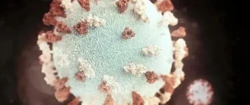 新冠肺炎的致死率已不再高于流感