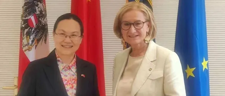 亓玫大使会见下奥地利州州长米克尔-莱特纳