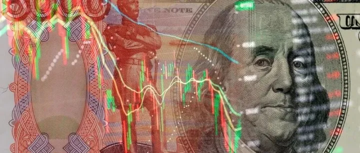 6天前，全球又见证了一场“郁金香泡沫”的破裂