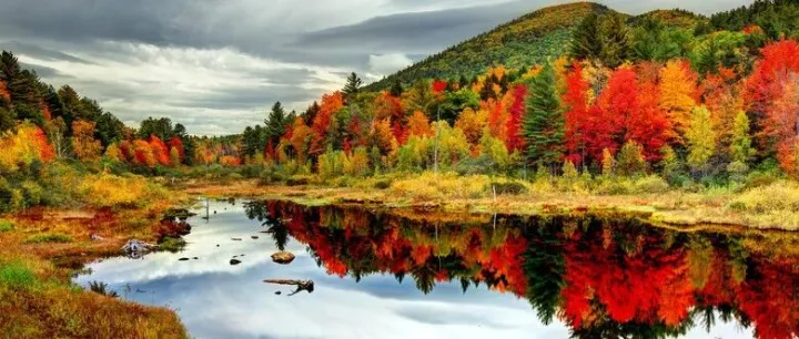 木星的行运结果