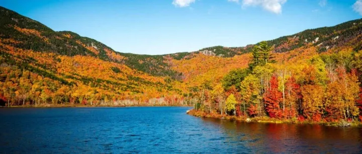 土星的行运结果