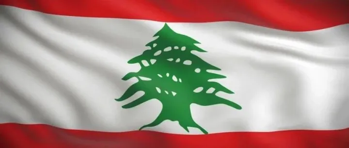 Red Cross Contributions