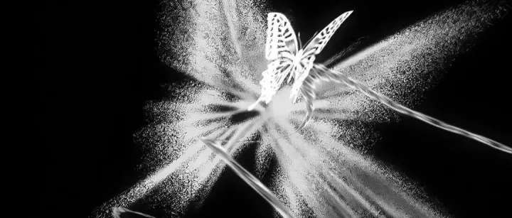 成年人<em>的</em>世界只筛选不<em>调教</em>