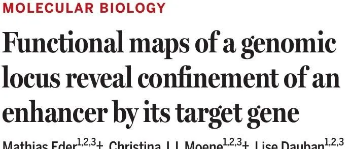 LZH_Functional maps show confinement of enhancer by <em>target</em> gene