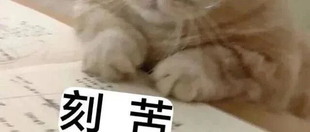 高职女生<em>适合</em>的稳定专业有<em>哪些</em>？选对方向，<em>未来</em>稳稳有底气